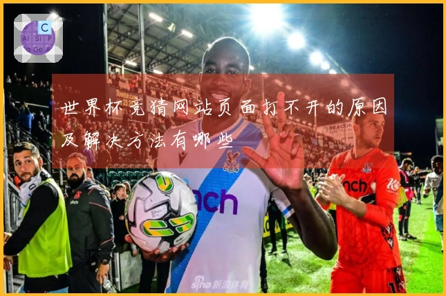世界杯竞猜网站页面打不开的原因及解决方法有哪些