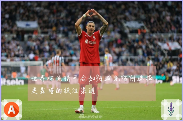 世界杯竞猜平台如何避免陷阱选择更靠谱的投注渠道